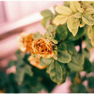 Bật nút kích hoạt thương hiệu tương tác đa chiều