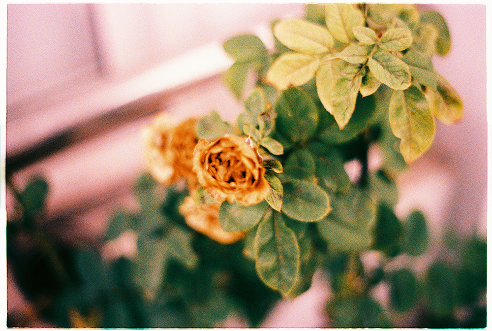 Nhập môn Marketing căn bản A-Z