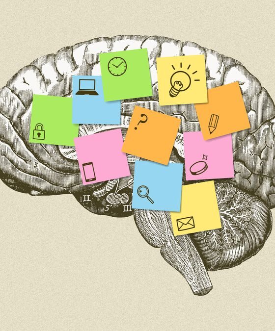 Khi học một ngôn ngữ, ĐỪNG học những “điều căn bản”