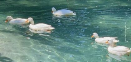 Làm sao để cơ thể hack  “hormone hạnh phúc”?